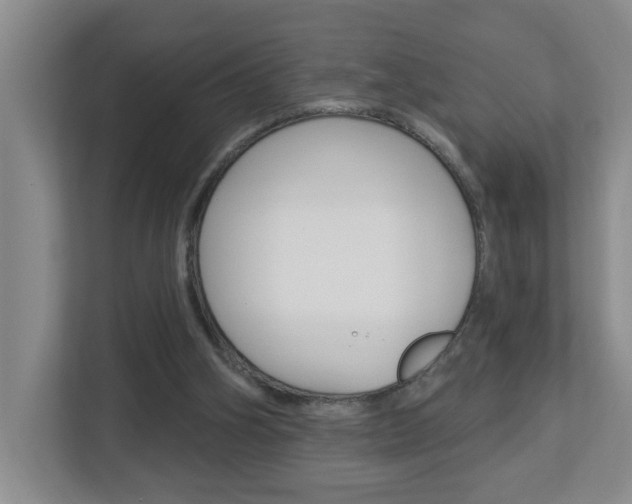 X0000112840106200908211007