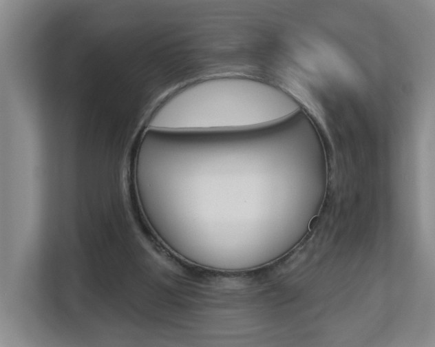 X0000112840107200908211007