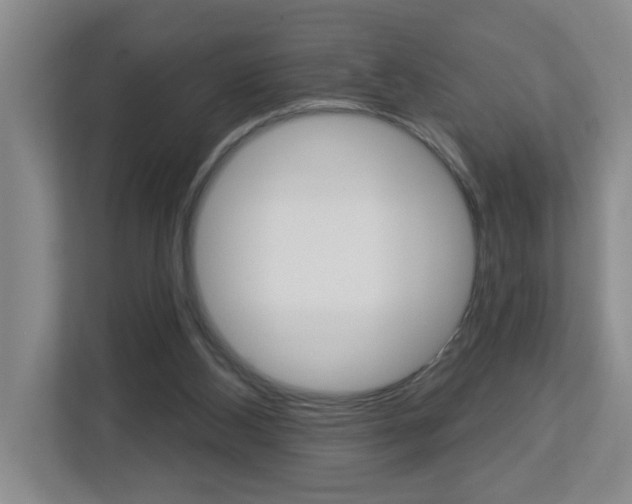 X0000112840108200908211007