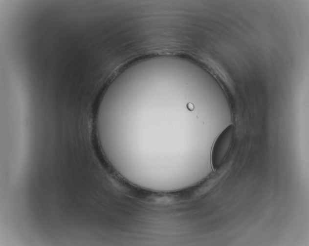 X0000112840113200908211007