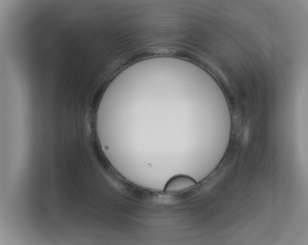 X0000112840114200908211007