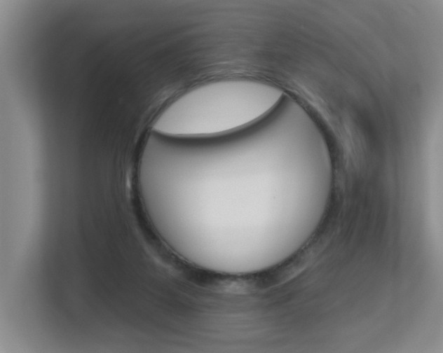 X0000112840115200908211006