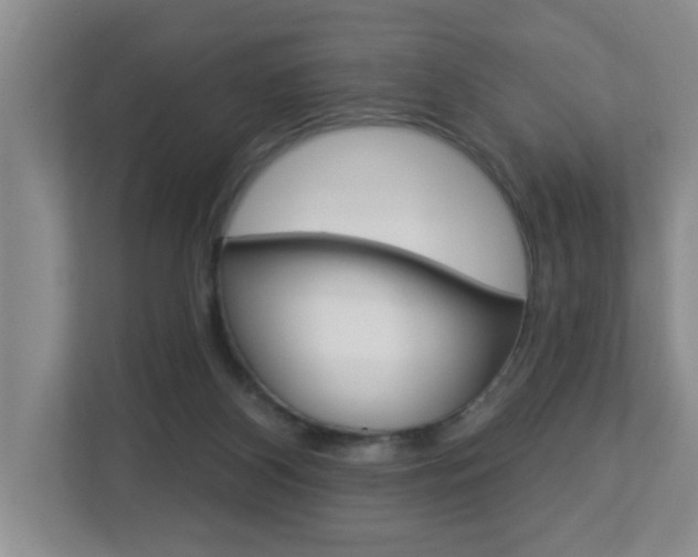 X0000112840116200908211006