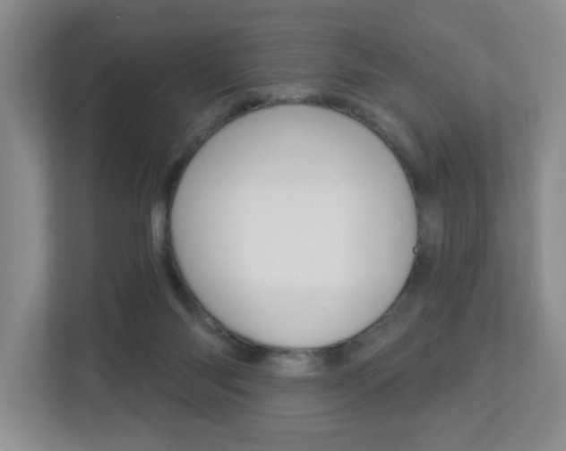 X0000112840118200908211006