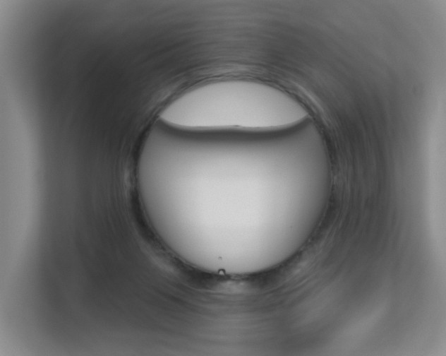 X0000112840119200908211006