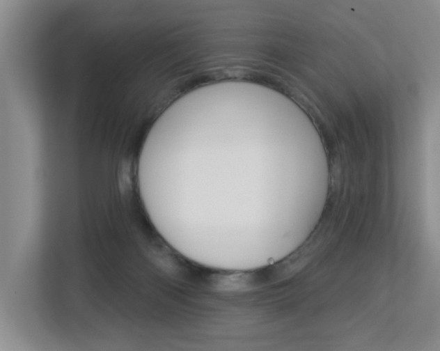 X0000112840122200908211006