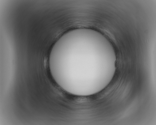 X0000112840123200908211006