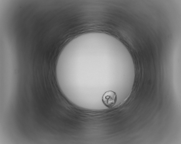 X0000112840128200908211006