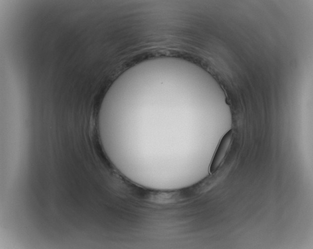 X0000112840129200908211006