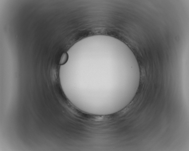 X0000112840130200908211006