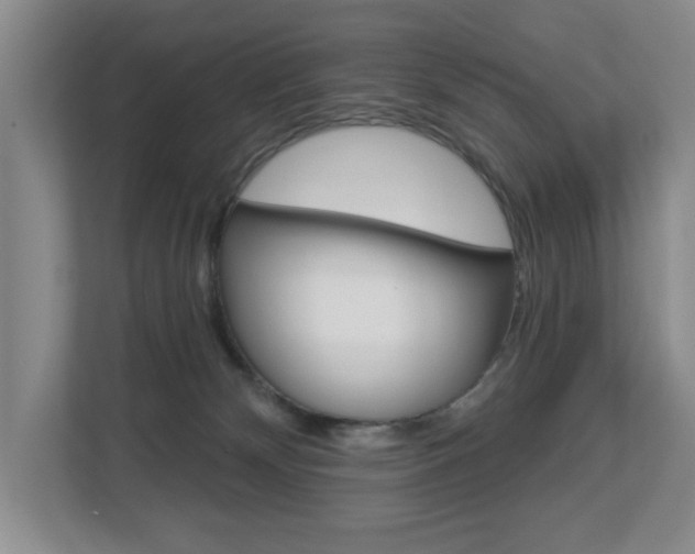 X0000112840132200908211006