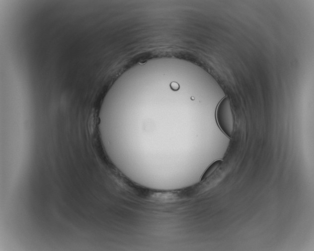 X0000112840133200908211006