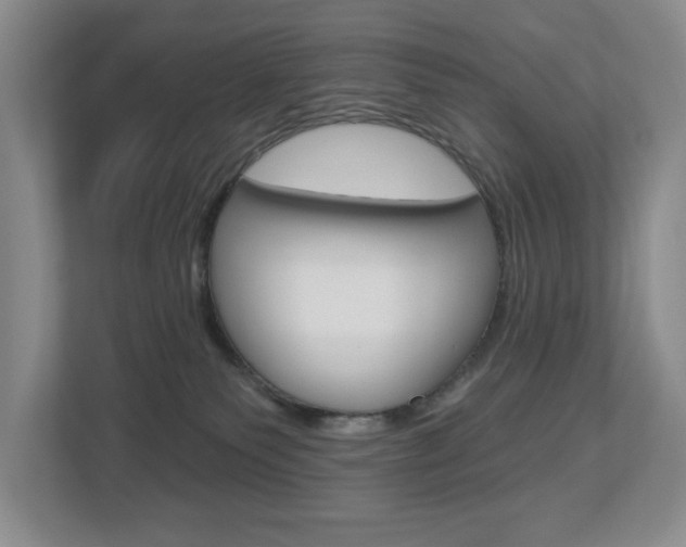 X0000112840135200908211006