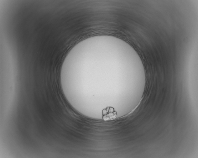 X0000112840136200908211006