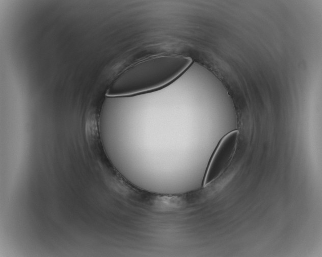 X0000112840137200908211006