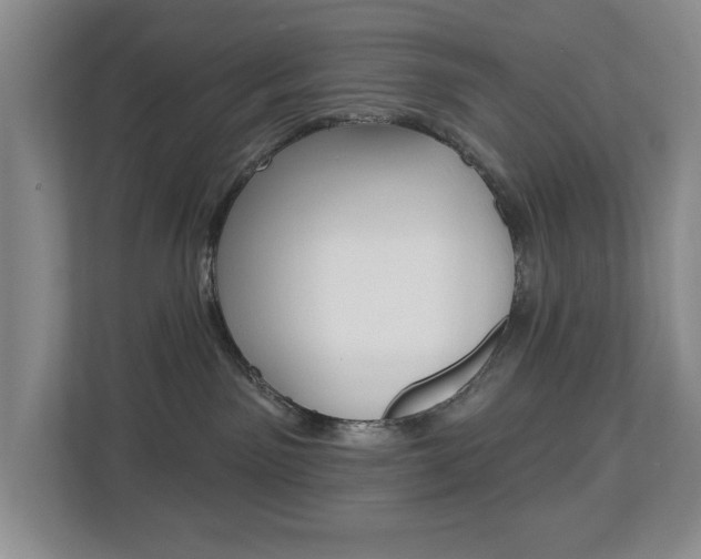 X0000112840141200908211006