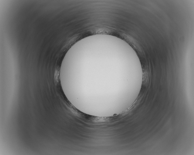 X0000112840142200908211006