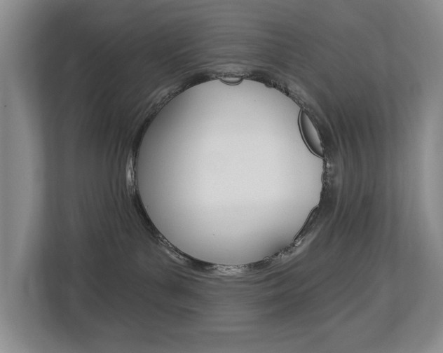 X0000112840143200908211006