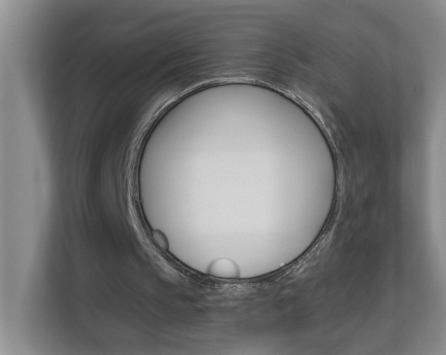 X0000112840145200908211005