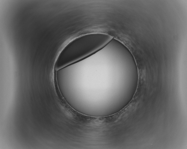 X0000112840148200908211006