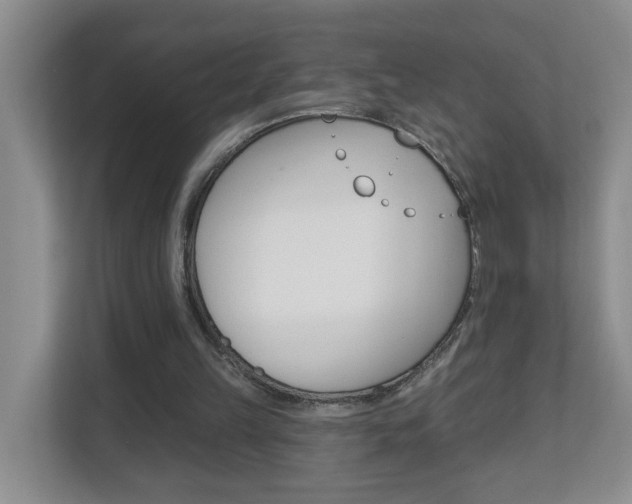 X0000112840149200908211006