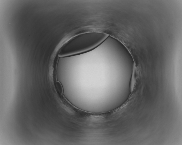 X0000112840150200908211006