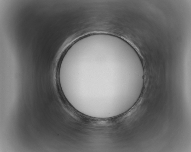 X0000112840151200908211006