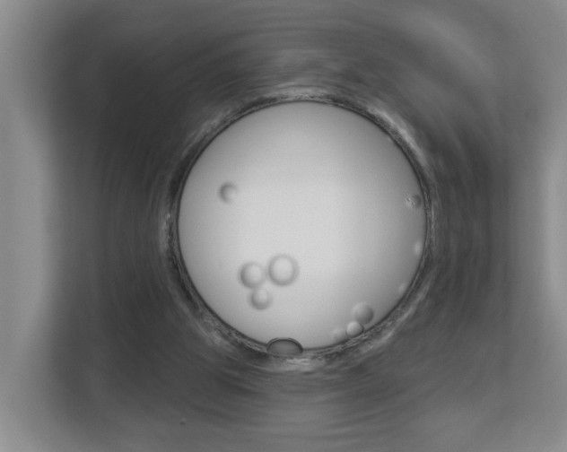 X0000112840153200908211006