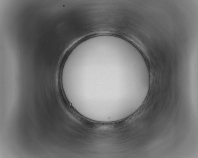 X0000112840155200908211006