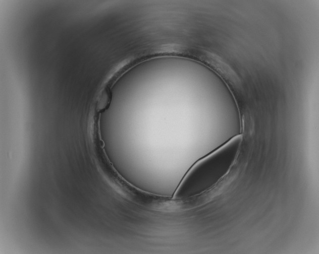 X0000112840156200908211006