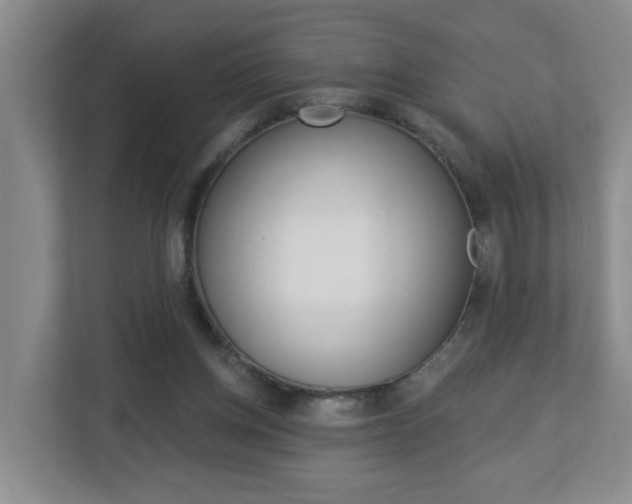 X0000112840158200908211006