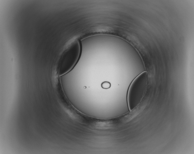 X0000112840160200908211006