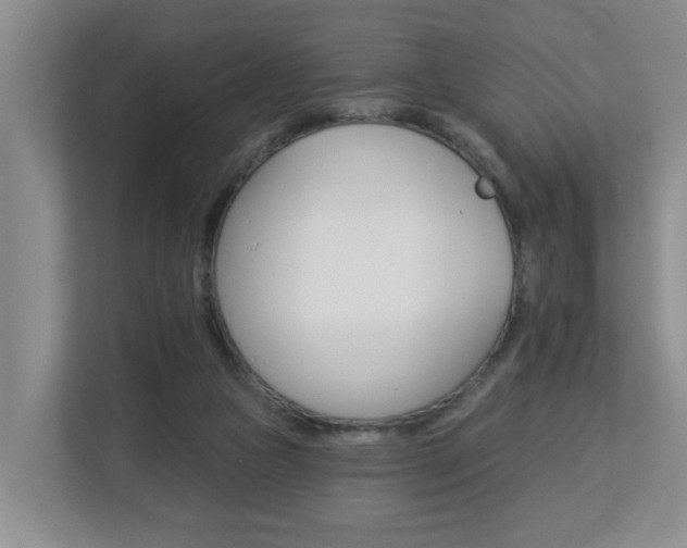 X0000112840161200908211006