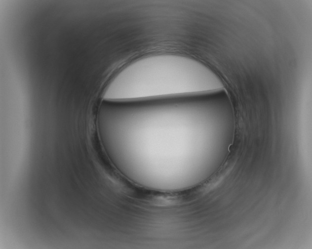 X0000112840164200908211006