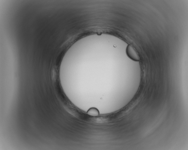 X0000112840165200908211006