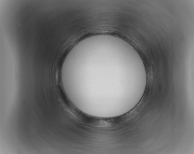 X0000112840166200908211006