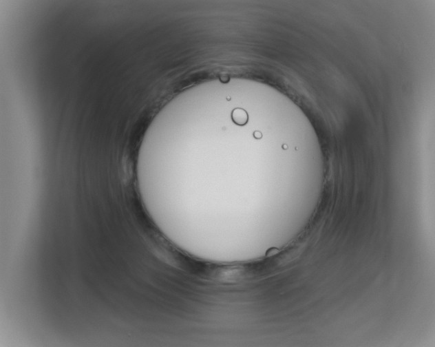 X0000112840173200908211006