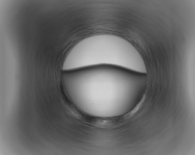 X0000112840174200908211006