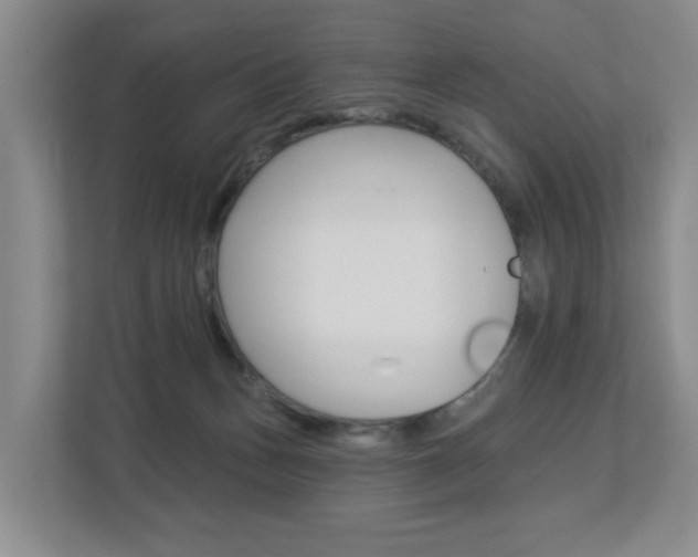 X0000112840175200908211006