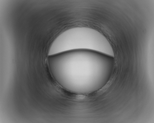 X0000112840176200908211006