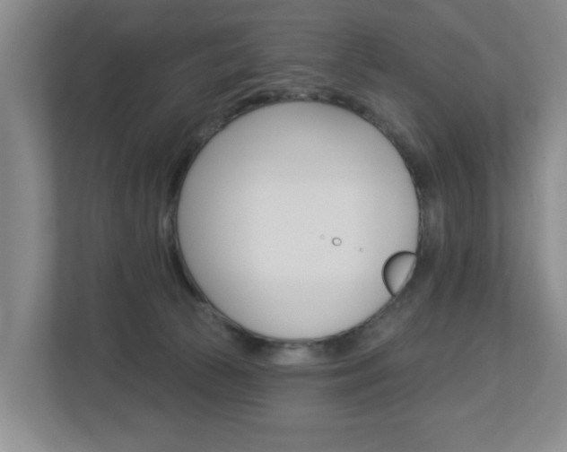 X0000112840177200908211006