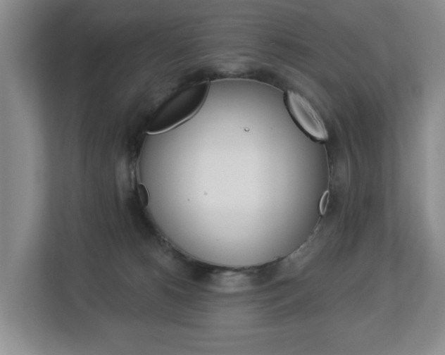 X0000112840180200908211006