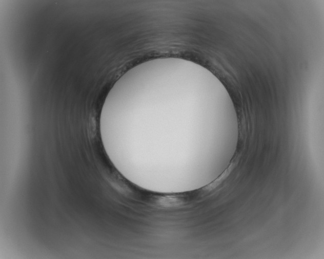 X0000112840183200908211006