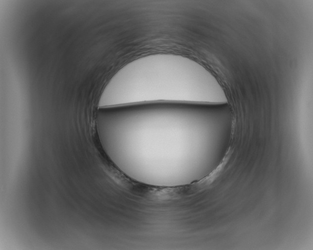 X0000112840186200908211006