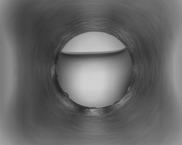 X0000112840188200908211006