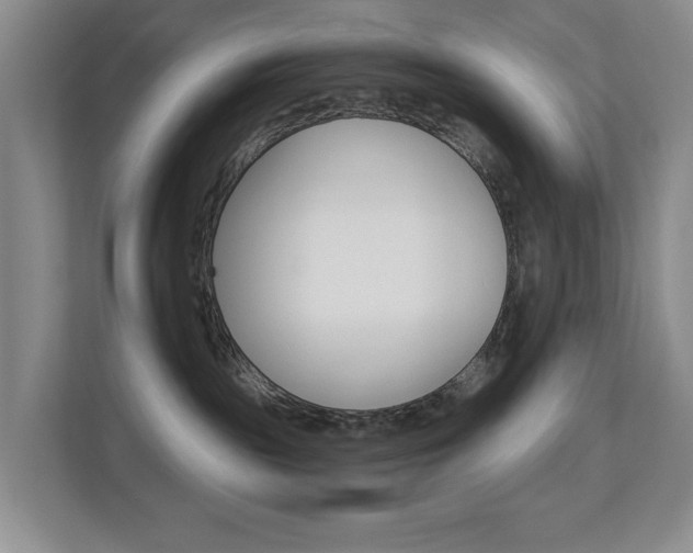 X0000112840189200908211006