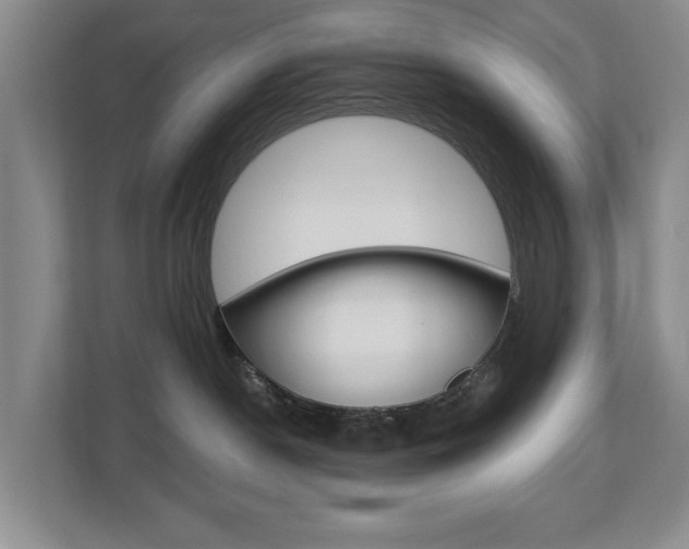 X0000112840190200908211006