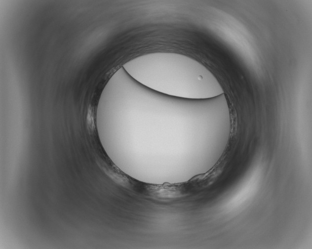 X0000112840191200908211006