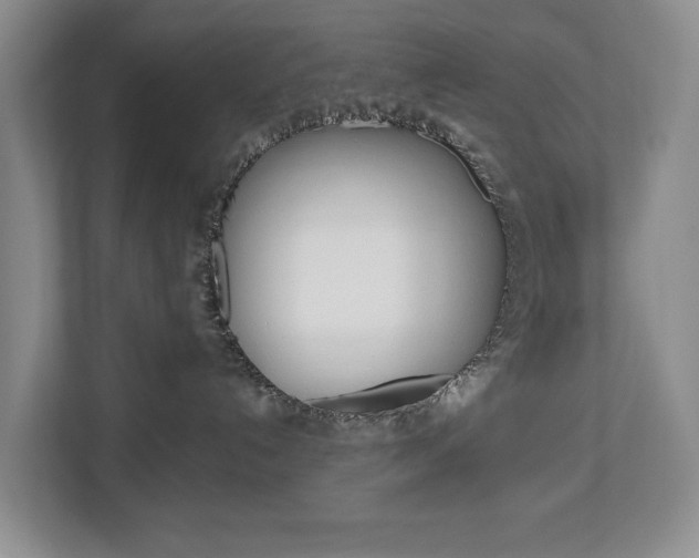 X0000112840192200908211006