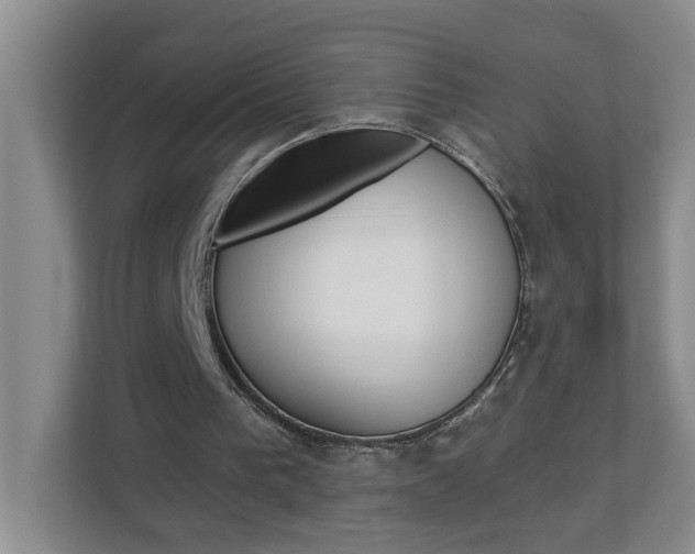 X0000112840193200908211005